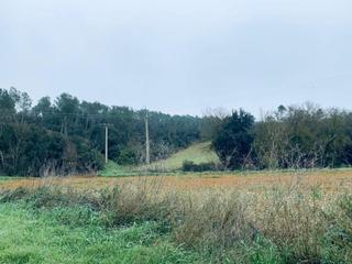 Propriété  Camino de pins