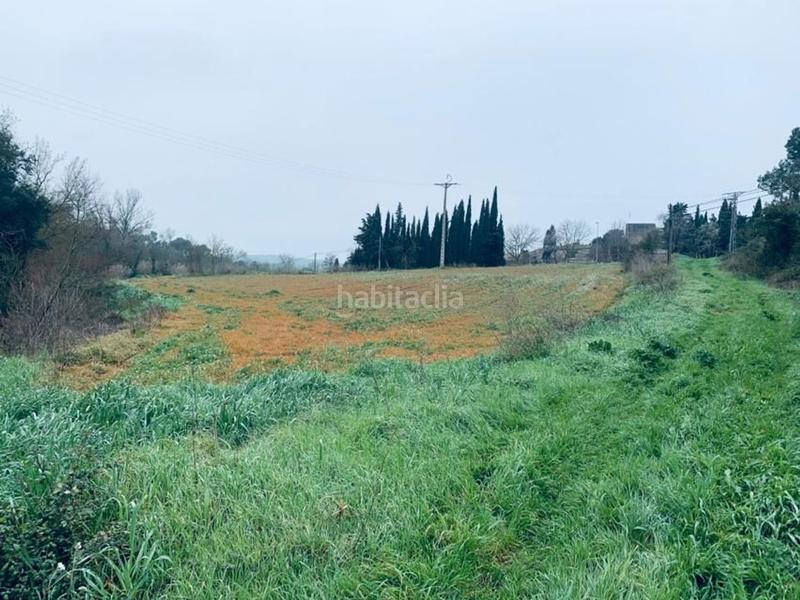 Foto 4d008818-d722-4c37-9864-2e46eb14adb3. Finca rústica a Vilopriu