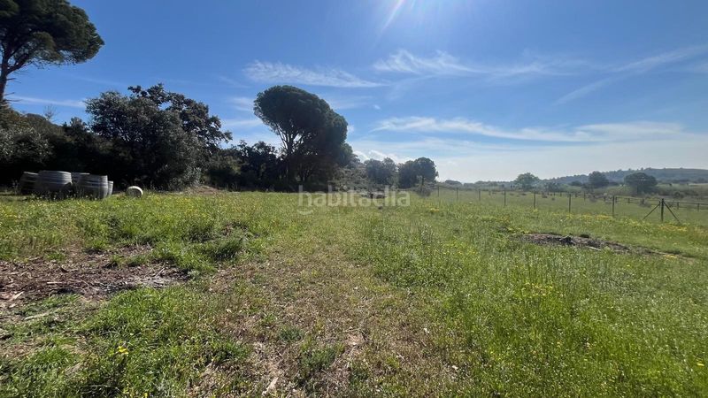 Foto 48f4224f-fc6a-4b59-aa33-247aa056a5fd. Finca rústica a Sant Climent Sescebes