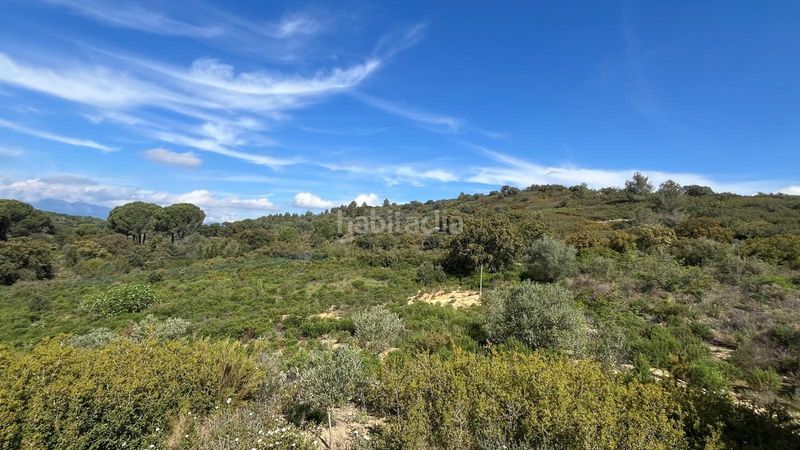 Foto 4c2ebf6c-3990-4eb5-9cfc-7a1d0ad7f852. Finca rústica a Sant Climent Sescebes