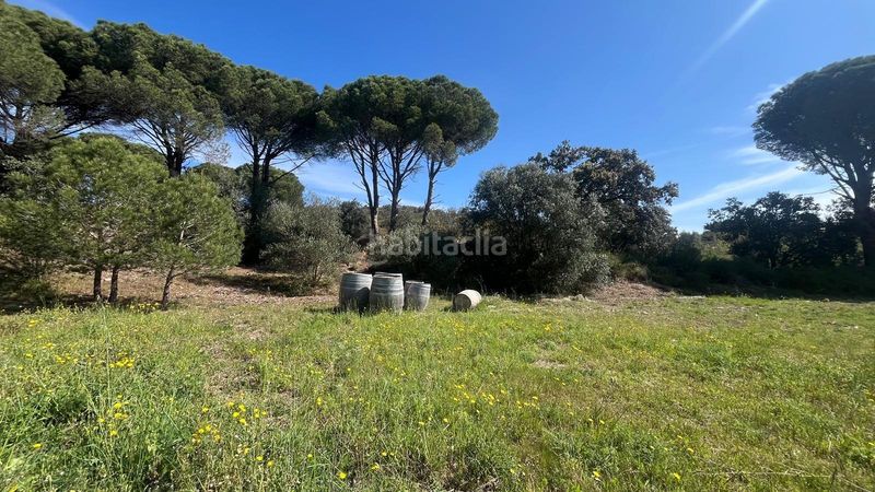 Foto 7c07fb58-91ac-4bf8-894a-c7ec249ee3b3. Finca rústica a Sant Climent Sescebes