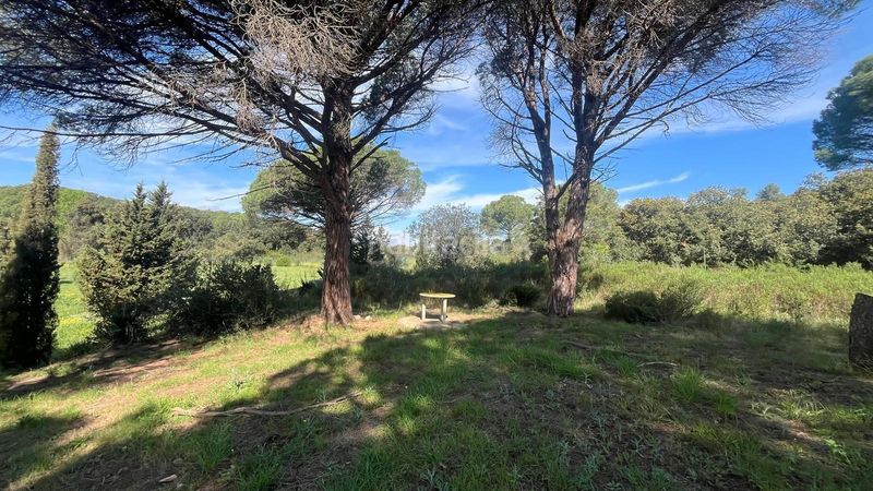 Foto c4b72d62-b474-4ef2-b89f-8617094fe844. Finca rústica a Sant Climent Sescebes