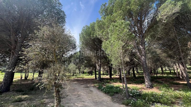 Foto e372426b-983f-490f-996c-b6a2c3eb56ba. Finca rústica a Sant Climent Sescebes