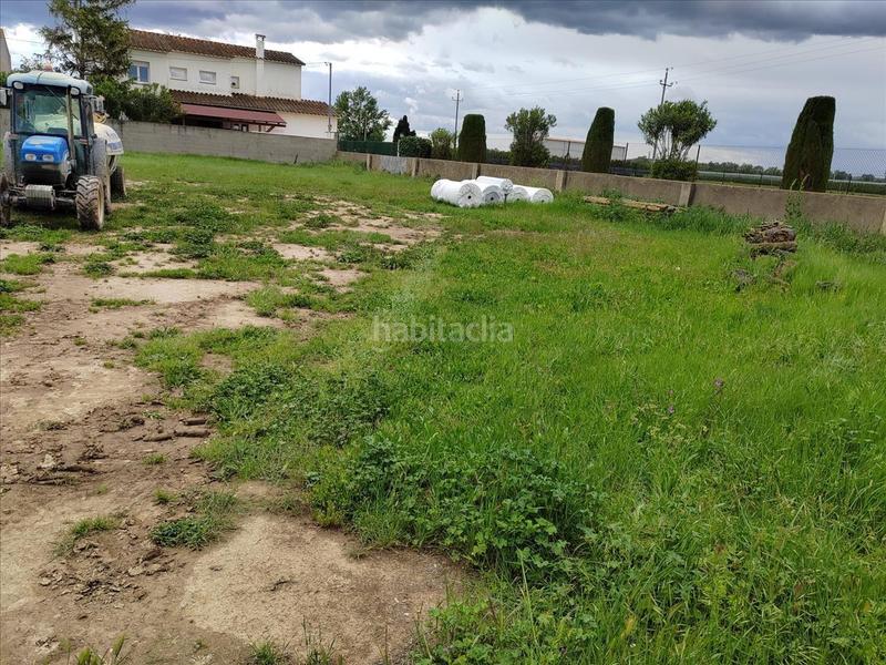 Foto 6cc454aa-7548-4043-b50b-7533c856d1ed. Terreny residencial a Sant Pere Pescador