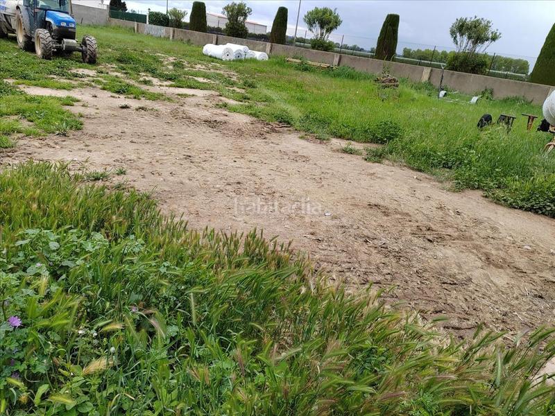 Foto 7268444f-51e1-4ef8-87ab-4e4bbacaae92. Terreny residencial a Sant Pere Pescador