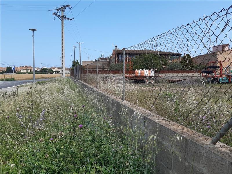 Foto c17a7ac2-03a8-41db-90a1-a975ecb8b6af. Terreny residencial a Sant Pere Pescador
