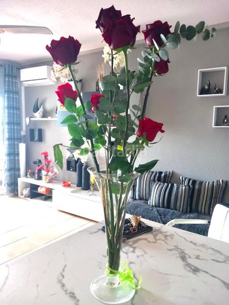 Foto 222bb153-91c7-42f1-8add-2949368728bb. Appartement in Sant Maurici Empuriabrava