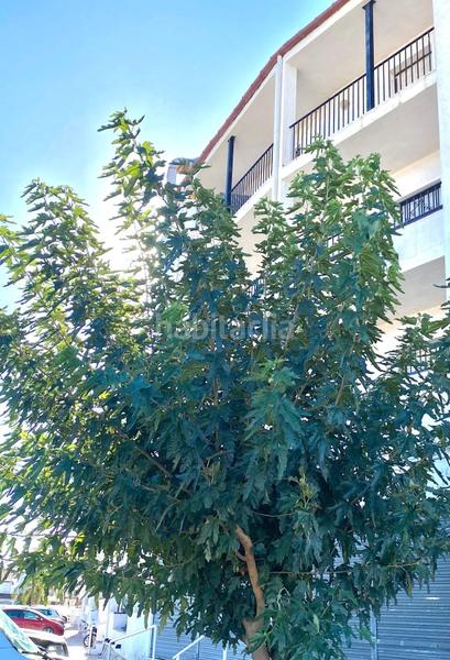 Foto c38ea4a5-25dc-4105-af2f-703652ea7621. Appartement in Sant Maurici Empuriabrava