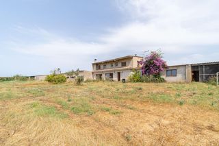 Haus in Castelló d´Empúries. Casa de campo con gran potencial en castelló dempúries