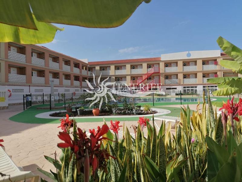 Foto 70ad8b9d-5557-4e67-b92e-2e8c873eb5af. Estudio apartamento tipo estudio en Costa del Silencio. en Arona