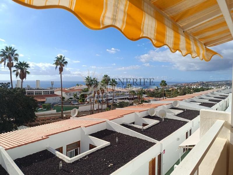 Foto 029d1df2-85d7-4d80-be8a-89ed6e3fc68e. Estudi a San Eugenio Alto Adeje