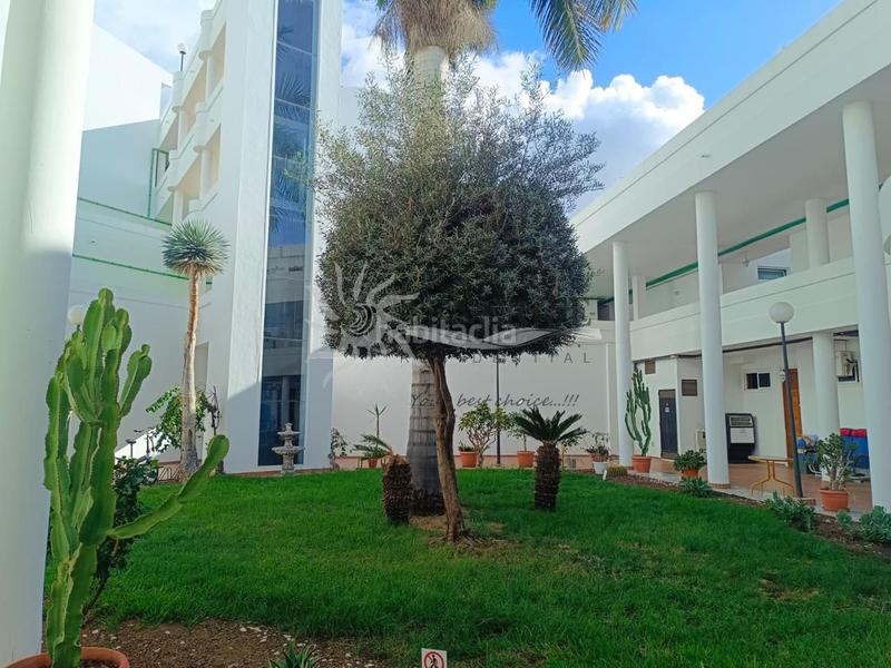 Foto 42905113-5738-442c-ba1f-58b8abc70f99. Estudi a San Eugenio Alto Adeje