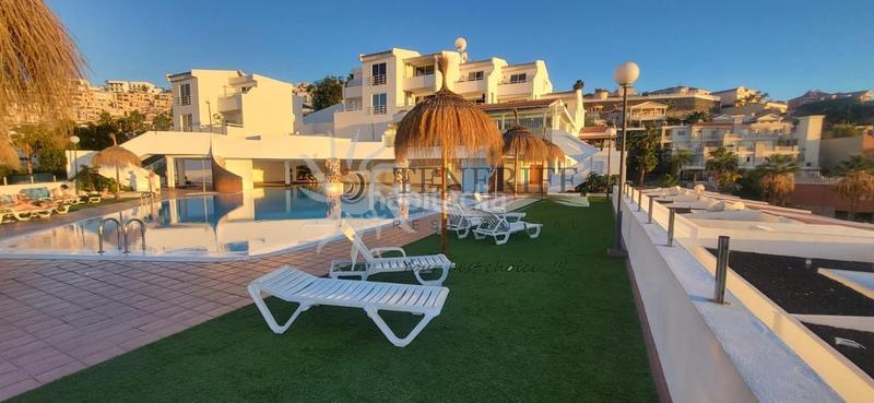 Foto 907c88b0-cebd-4fb5-859a-18f99c3d9453. Estudi a San Eugenio Alto Adeje