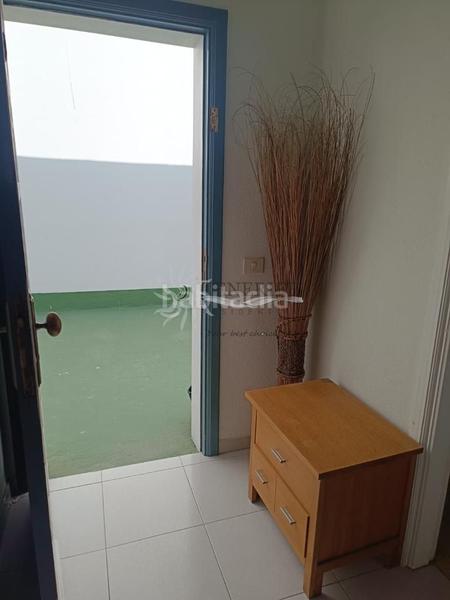 Foto dbda2371-4ecb-4465-b18a-61c0e889ddd7. Estudi a San Eugenio Alto Adeje