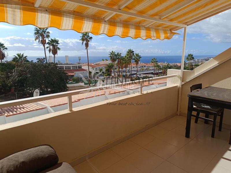 Foto f9905847-ebe6-4597-b676-c415db4d4598. Estudi a San Eugenio Alto Adeje