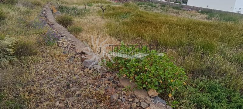 Foto 352cebf4-76be-4d03-954c-72857eb0425d. Finca rústica a Guía de Isora interior Guía de Isora