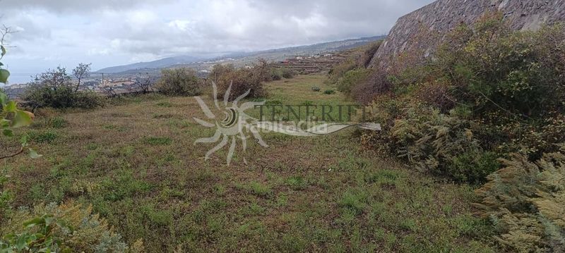 Foto 37f5aefb-d91a-40dc-8ab9-48a2ff5a11bd. Finca rústica a Guía de Isora interior Guía de Isora