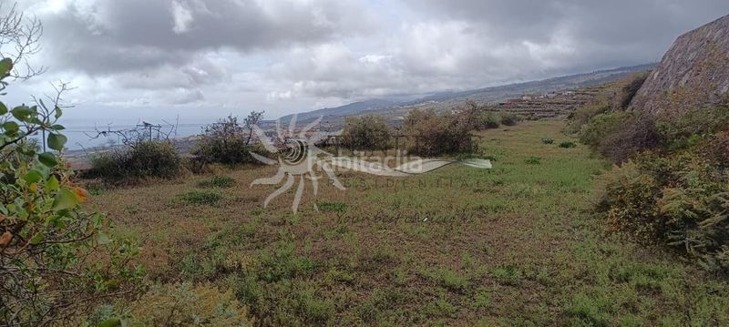 Foto 43bdfffb-16c5-44d2-bb88-6241e138ed01. Finca rústica a Guía de Isora interior Guía de Isora