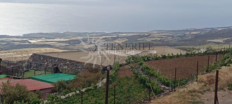 Foto 4e05d07f-4735-436a-baec-6d516b8e9c20. Finca rústica a Guía de Isora interior Guía de Isora