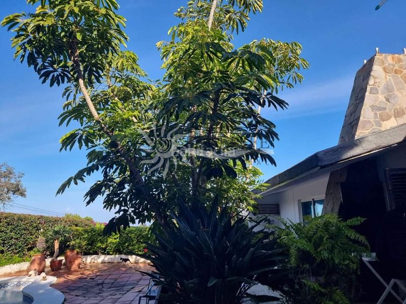 Foto aa0bbac6-ba76-4f2b-a286-d989dd8793d8. Casa amb aparcament piscina a Santa Catalina Tacoronte