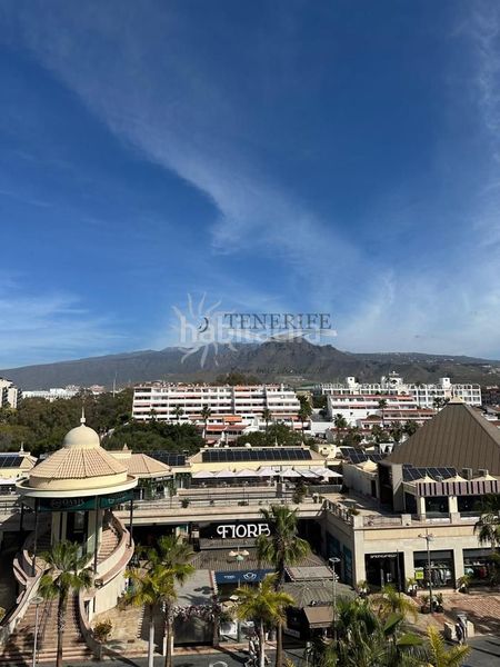 Foto a16f8e27-2eb2-4046-ba85-2bed6367aab9. Pis a Playa de las Américas Arona