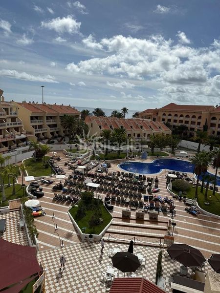 Foto b72f94a5-7551-4a26-9275-b3e94ea4b825. Pis a Playa de las Américas Arona