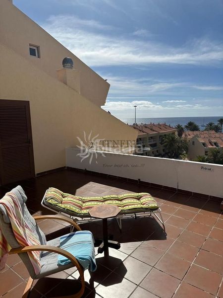 Foto ff6d6b40-8958-4639-a201-76a67c92ccd1. Pis a Playa de las Américas Arona