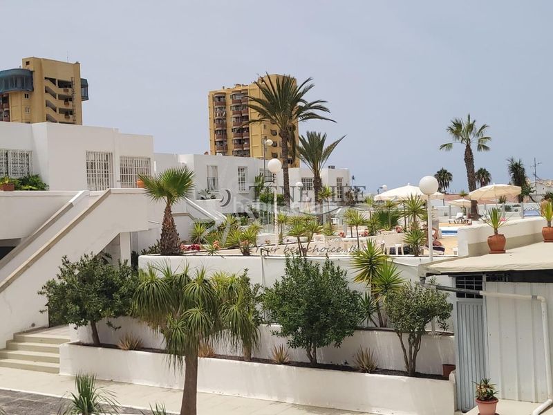 Foto b0fa313f-dcc8-4e69-b53e-c00ff16bf922. Planta baixa a Los Cristianos Arona