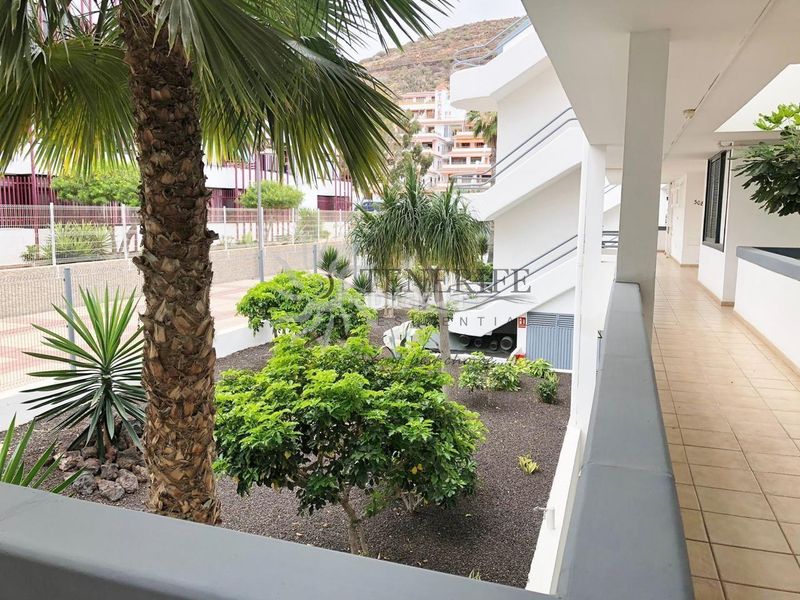 Foto c9f24e52-5ba4-4670-89d7-d8a6f3da095b. Planta baixa a Los Cristianos Arona