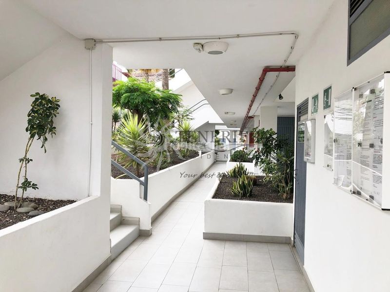 Foto e567369e-2ec1-44a1-90b3-7da5c7cfcb54. Planta baixa a Los Cristianos Arona