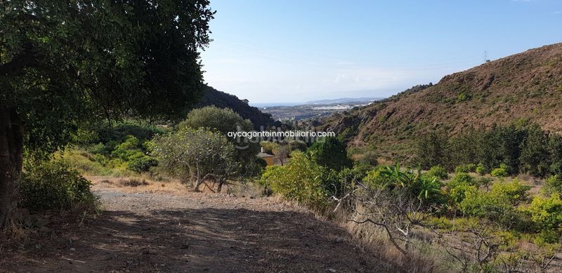 Foto 650df812-07ab-4ba1-a3f2-7264a32e31ed. Terreny residencial a altos de Estepona Estepona