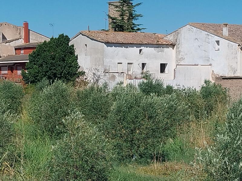Foto 406c5c3c-430e-4db9-8308-11cbf6beefa8. Masia a Tornabous