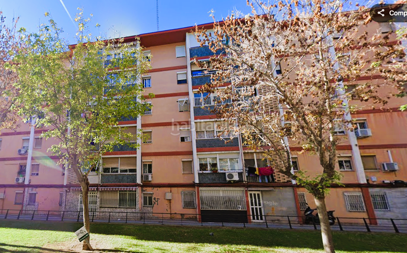 Foto 0765ada2-5957-4064-b99f-f281ee26eaf8. Pis a del bambú 3 a Sant Ildefons Cornellà de Llobregat
