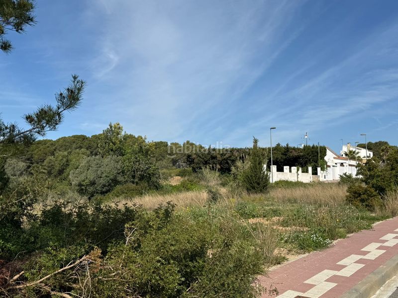 Foto b1f0c055-ba2d-4d16-a0cc-8ab2d89e1009. Terreny residencial a Creixell