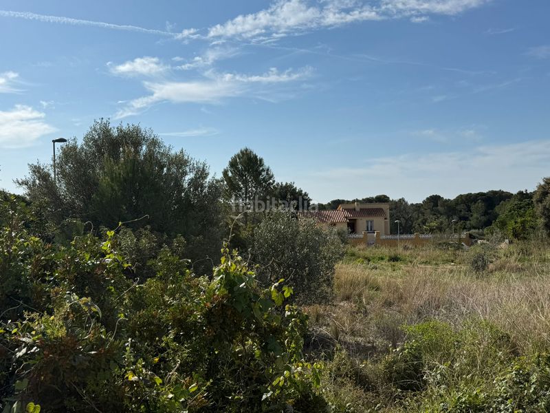 Foto e1de3f78-4e49-4c39-a59e-0aae232d936a. Terreny residencial a Creixell