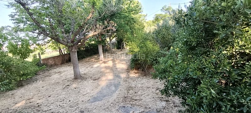 Foto 25733e27-ae9e-4cd6-a8ce-cbb5944d0242. Terreny residencial a Ciutat Jardí Lleida