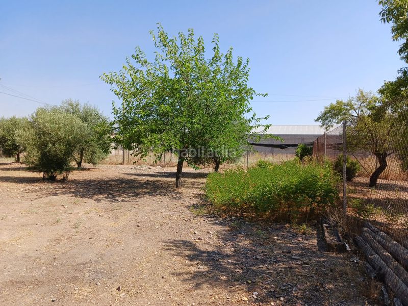 Foto 521bc07d-5643-4285-9ddb-f80f60dce7c6. Masia a La Guija Ciudad Real