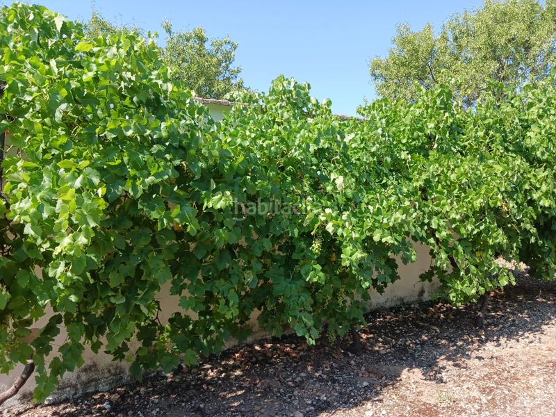 Foto 5b5bf5a9-5d3e-481a-ade1-b2b6a22d2639. Masia a La Guija Ciudad Real