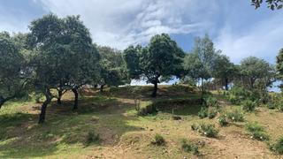 Terreno residencial en Cerro Muriano