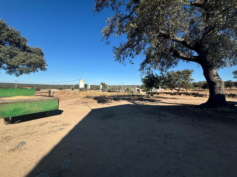 Foto 01e40fef-6b13-4878-9e5d-7df439d450c7. Finca rústica venta de finca agricola y ganadera!! en Pozoblanco