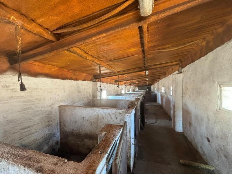 Foto 2a143d80-7fc6-4ac6-b810-5200c1666d69. Finca rústica venta de finca agricola y ganadera!! en Pozoblanco