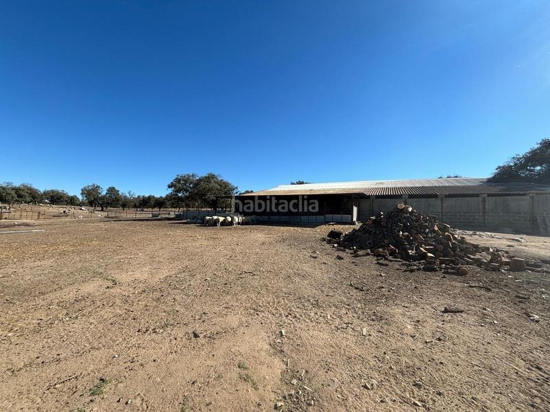 Foto 38faf171-9664-4415-a6e1-6eb1c48b4b8d. Finca rústica venta de finca agricola y ganadera!! en Pozoblanco