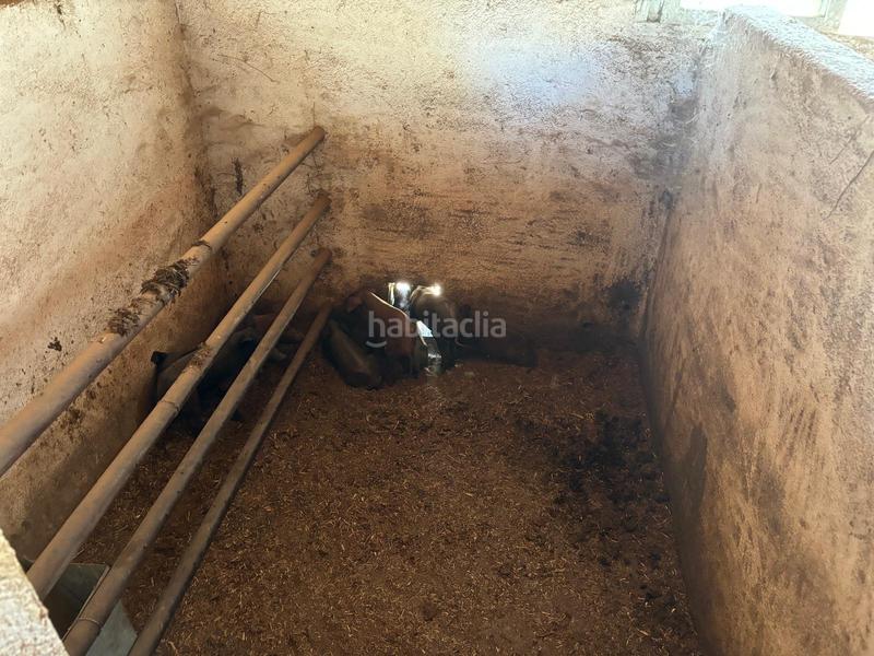 Foto 5b0527ab-7ac6-4138-b613-d3f2bd2303ec. Finca rústica venta de finca agricola y ganadera!! en Pozoblanco