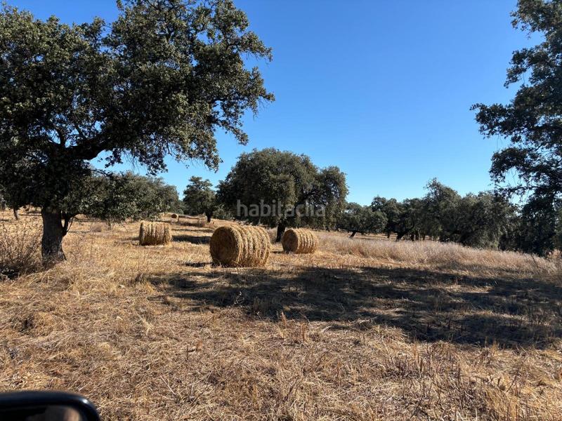 Foto 5d9cf3ca-e675-4992-99c6-0bf4f19e43c8. Finca rústica venta de finca agricola y ganadera!! en Pozoblanco