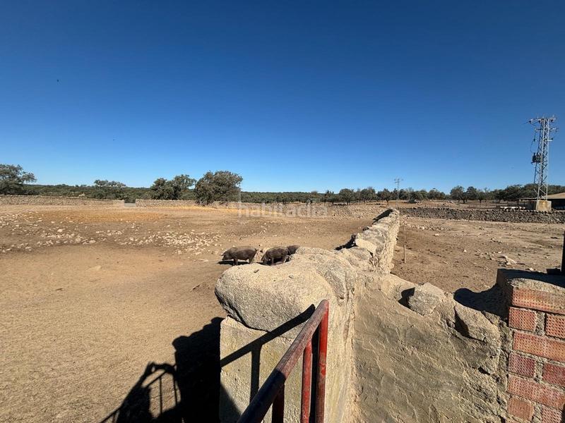 Foto 81a9a3f7-7076-40d9-a898-a8230f832c60. Finca rústica venta de finca agricola y ganadera!! en Pozoblanco