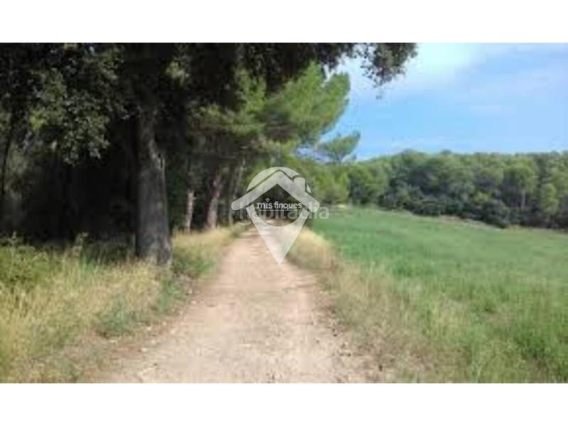 Foto d8f89170-1f64-42e7-bc7a-732718828509. Wohngrundstück in Ca n'Oriac Sabadell