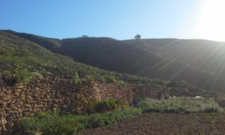 Finca rústica a Valle San Lorenzo. Magnifico terreno agrario
