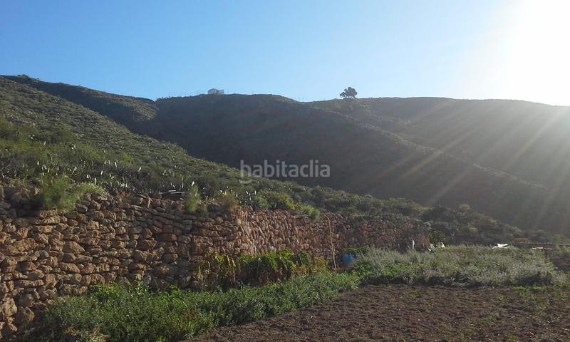 Foto 2d9a85fe-48b8-4cb4-9e54-33a5247bee34. Fondo rustico in Valle San Lorenzo Arona