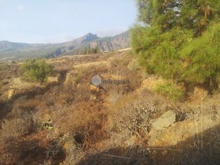 Terreny residencial en Arafo. Terreno r�stico en venta en arafo.