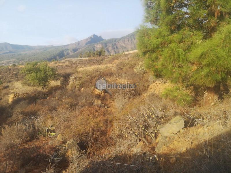 Foto 7db767bc-57c2-47e5-91bc-72f1a2eeaa11. Terreny residencial a Arafo